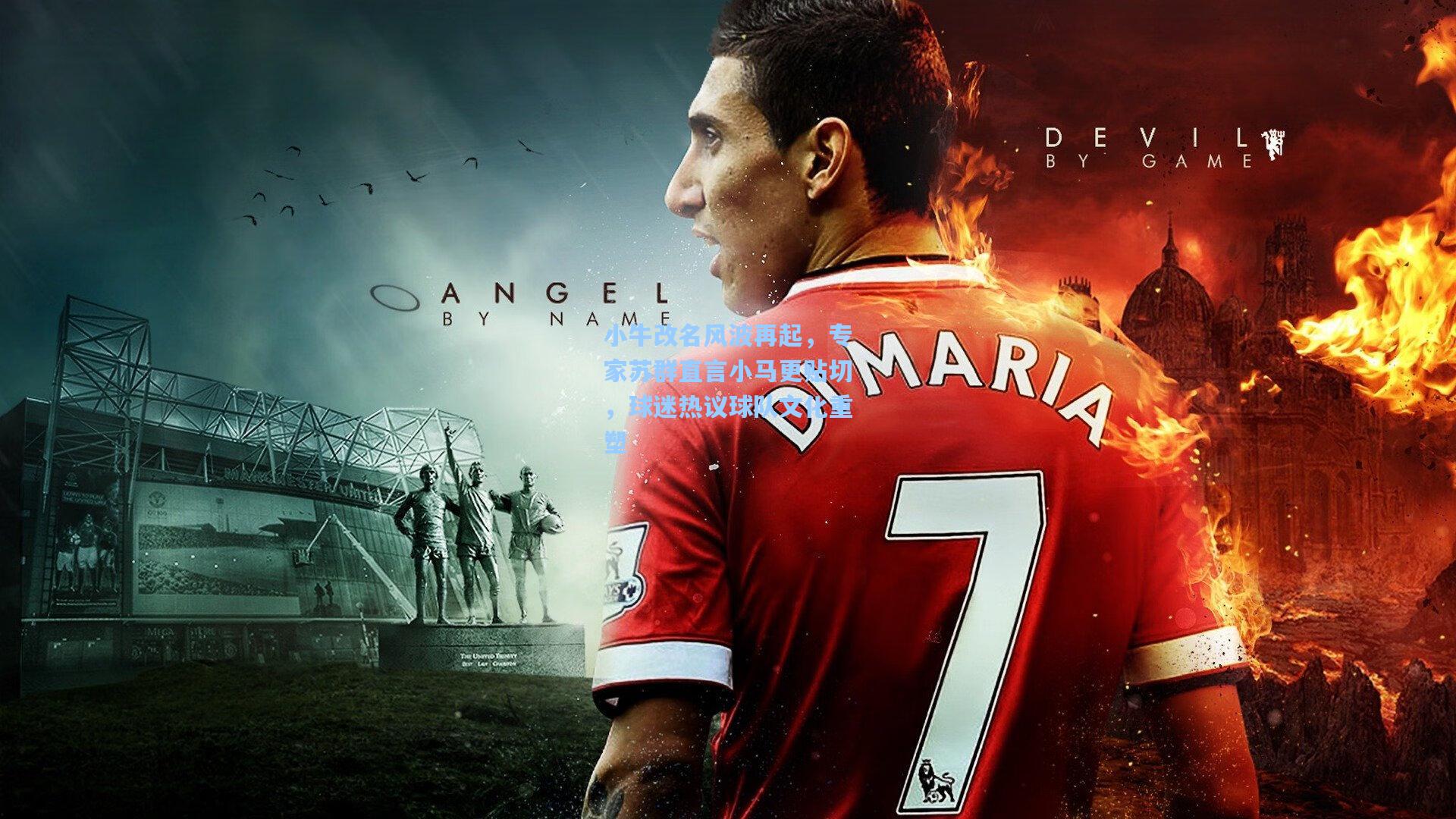 小牛改名风波再起,专家苏群直言小马更贴切,球迷热议球队文化重塑